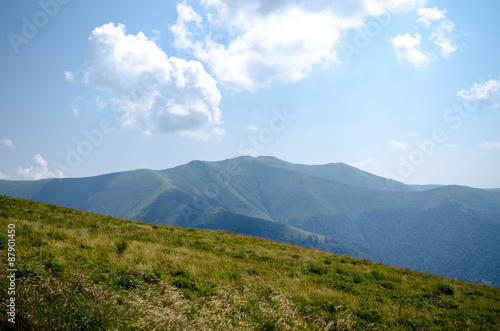Carpathian mountains summer landscape with green sunny hills wi