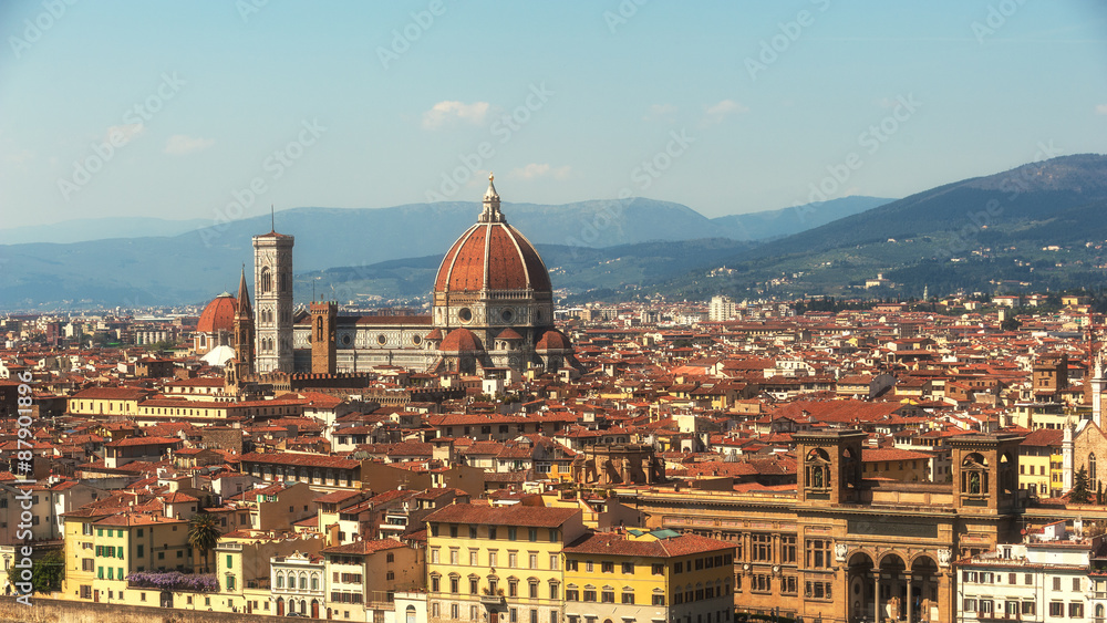 Florence city of the art, Italy