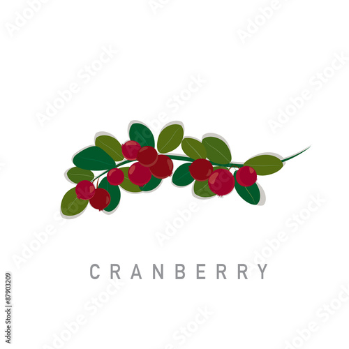 Cranberry with green leaves branch..