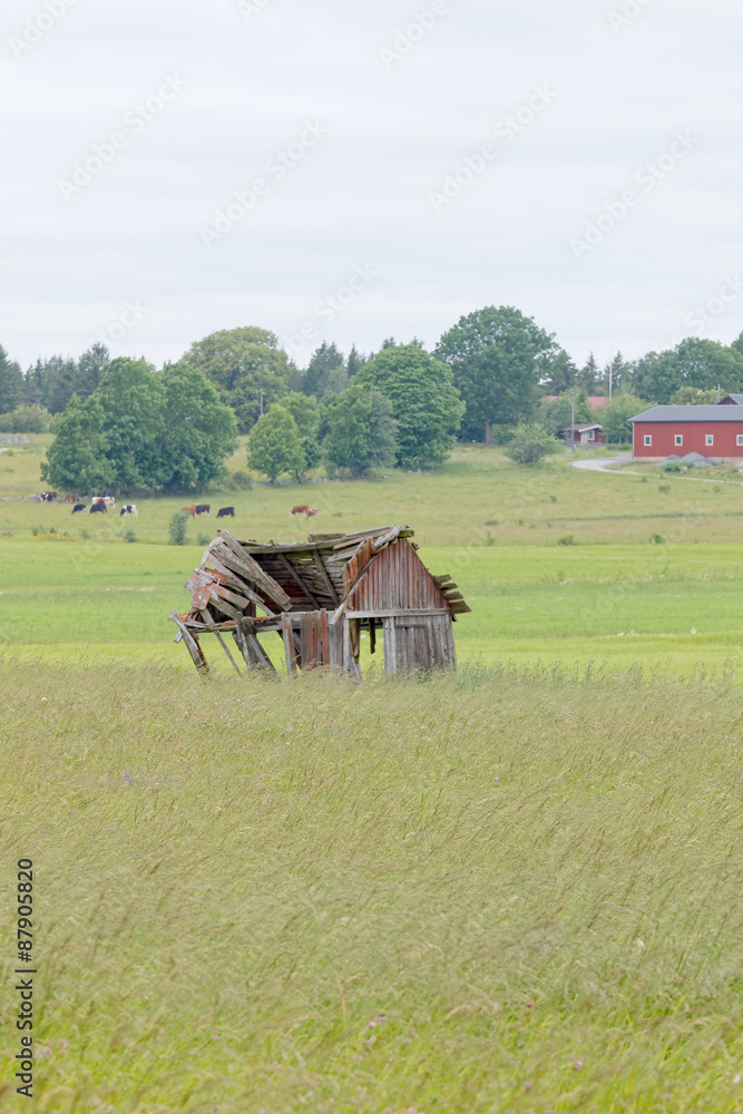 Tumbledown barn on a field Tumbledown barn on a field