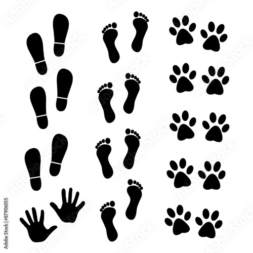 Vector collection of human and animal trace © Ms VectorPlus
