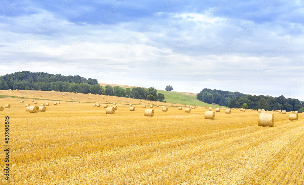 Panoramic view of harvested field with hay bales.