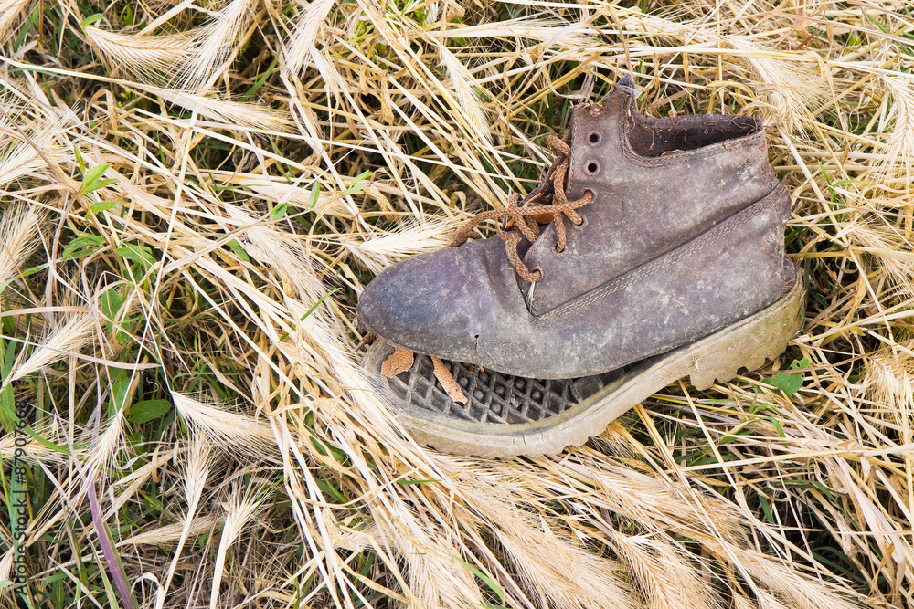 Fototapeta premium Old broken boot abandoned in a grass carpet