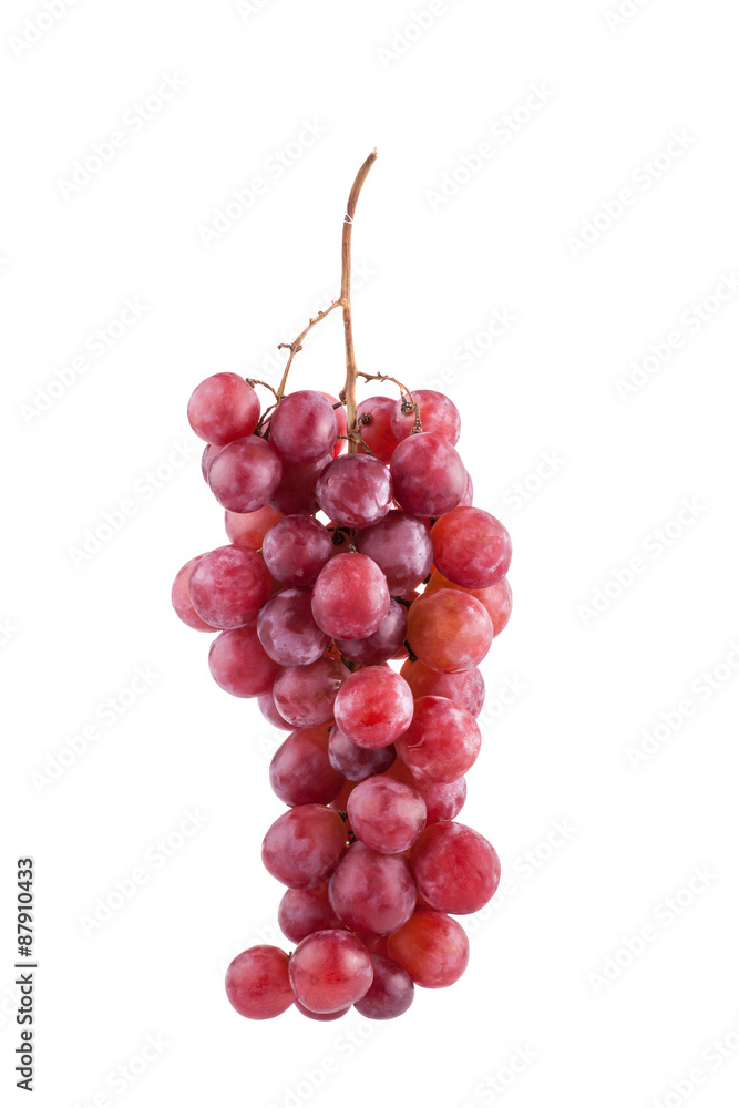 Fototapeta premium grapes isolated on over white background