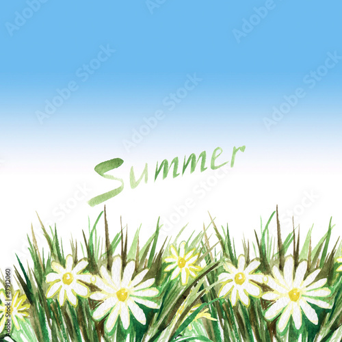 watercolor picture summer grass and blooming daisies and the wor