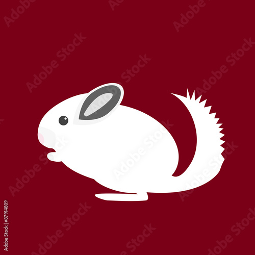 Chinchilla
