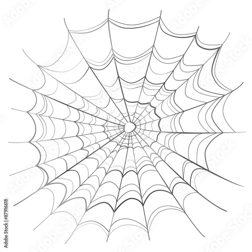 Complicated spider web on white