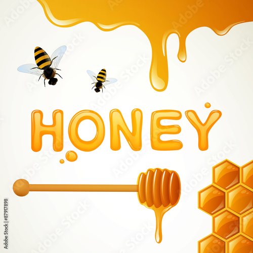 Vector Illustration of a Honey Background with Honeycombs, and Bees