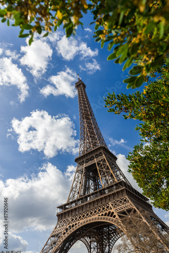 Eiffel Tower through the trees © raresgud