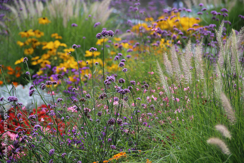 gelbe Blüten