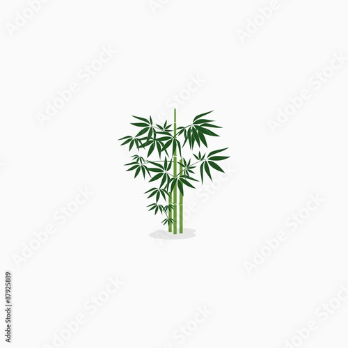 pieces of bamboo 