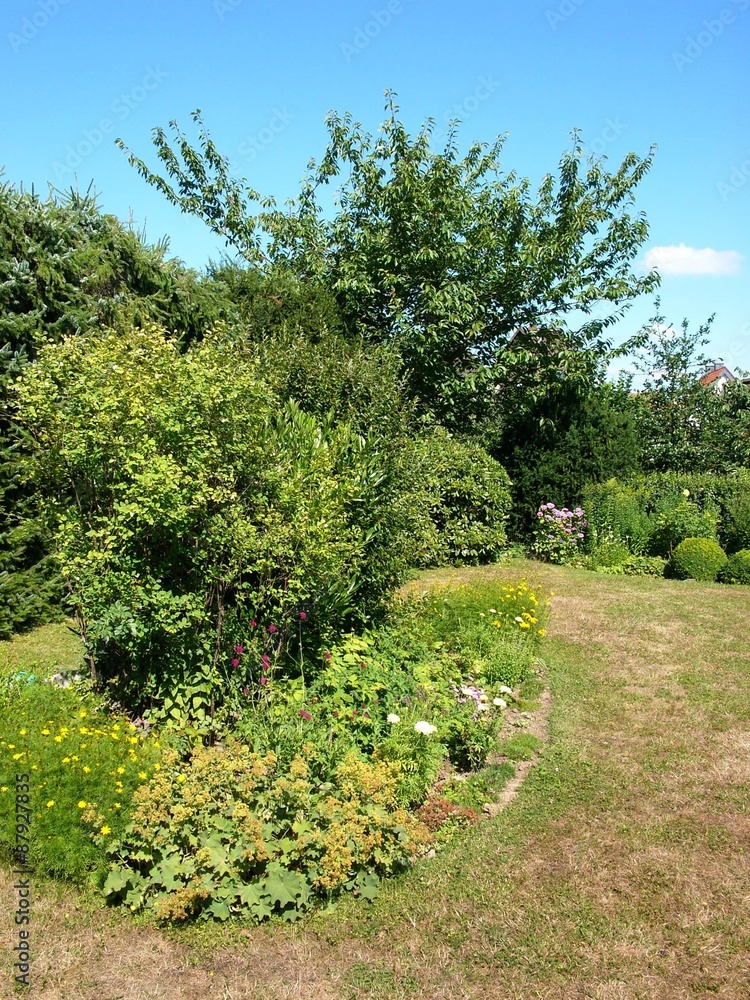 Üppiges Grün mit Büschen und Sträuchern in einem privaten Garten im