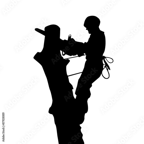 Arborist saws a tree at a height, silhouette