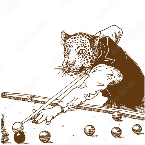 Gentle leopard