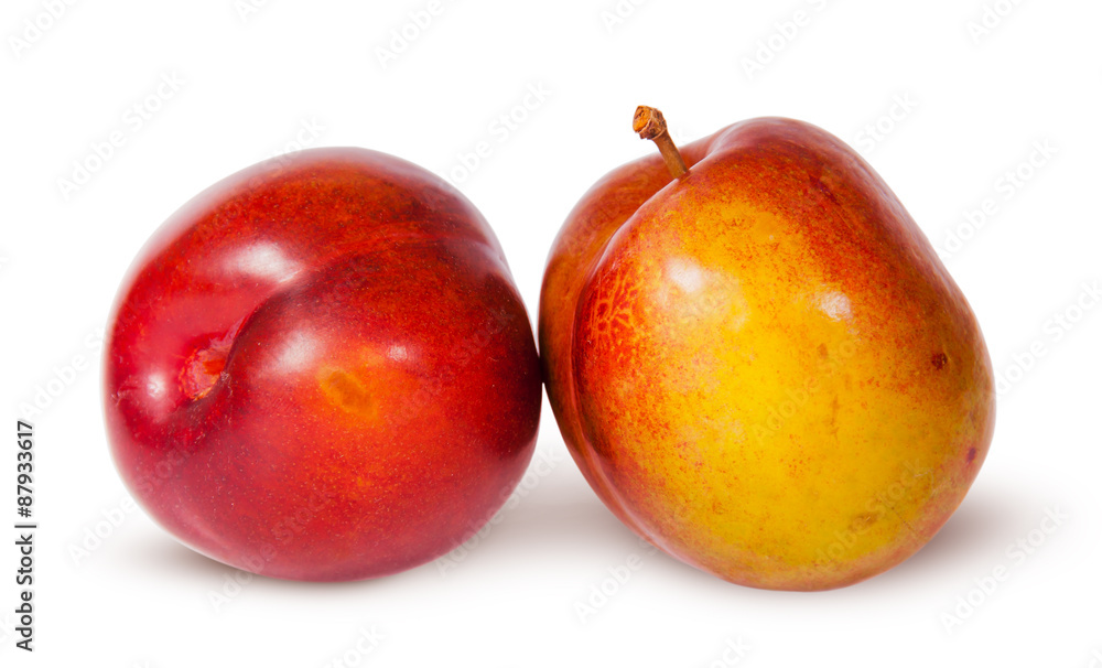 Two yellow and red plum near Two yellow and red plum near