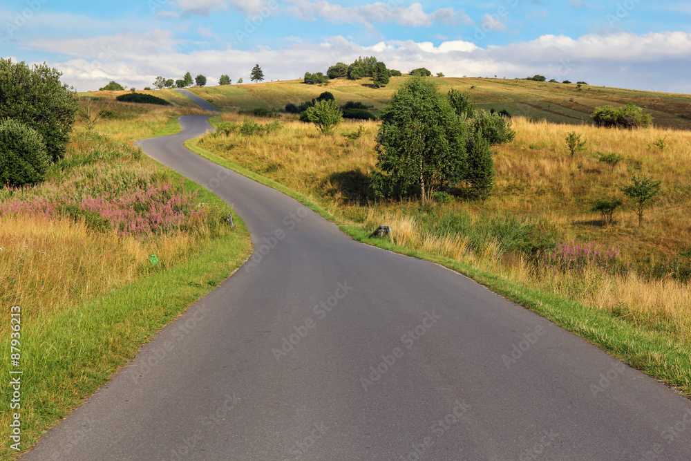 picturesque country road