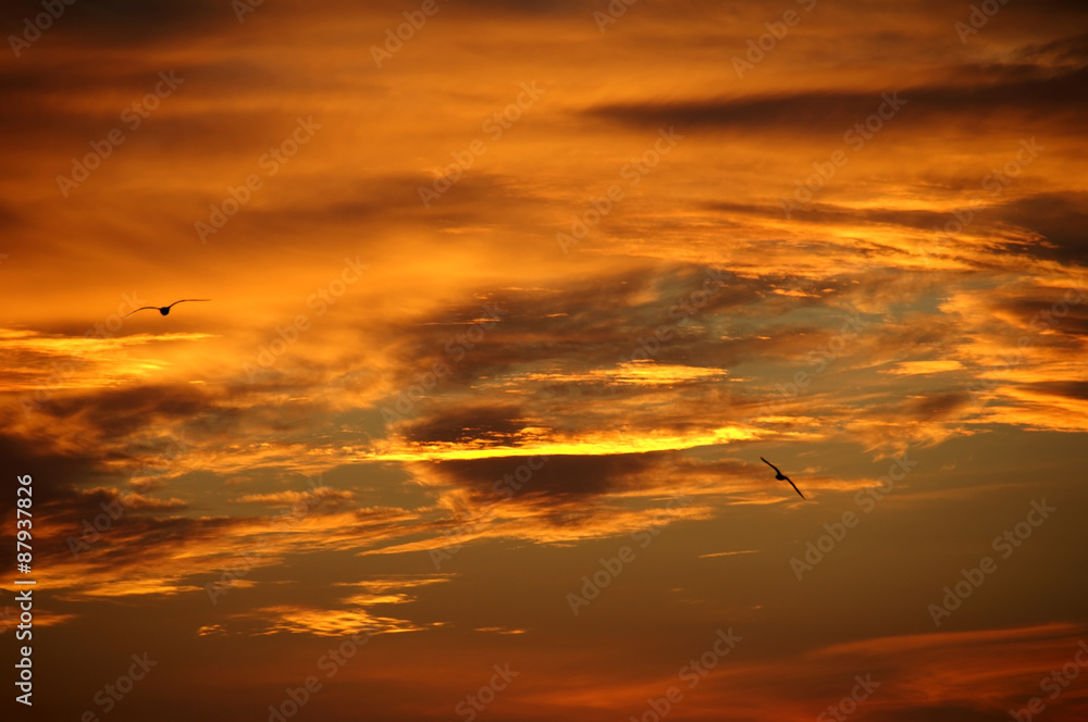 Sunset sky with clouds