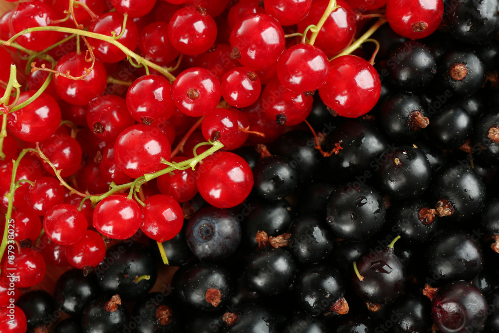 Ripe red and black currant background Ripe red and black currant background