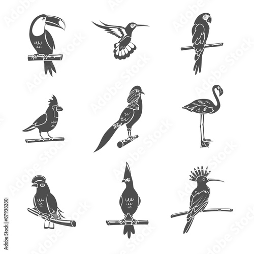 Bird Black Icons Set