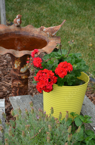 Fototapeta Naklejka Na Ścianę i Meble -  Old rusty birdbath