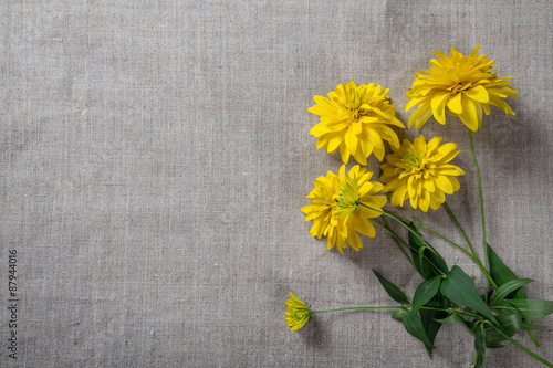 Fototapeta Naklejka Na Ścianę i Meble -  yellow flowers on linen background