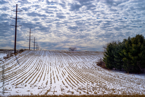 corn rows, power lines, winter