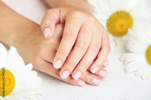 Woman hands with french manicure and chamomile on table close-up