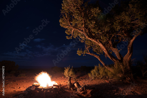 Bonfire under the Stars