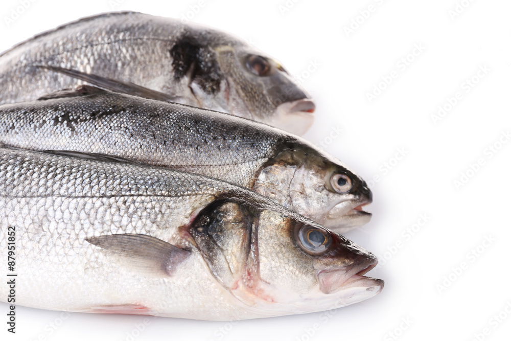 Fresh fish collection isolated on white