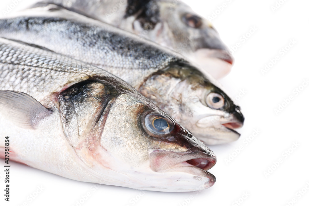 Fresh fish collection isolated on white Fresh fish collection isolated on white