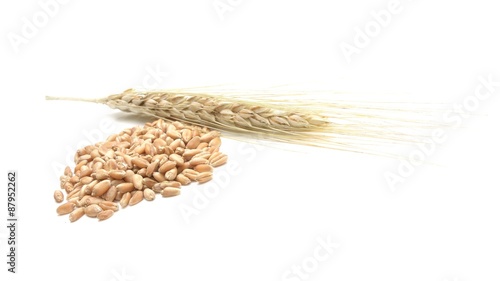 spikelets and grains of wheat on a white background