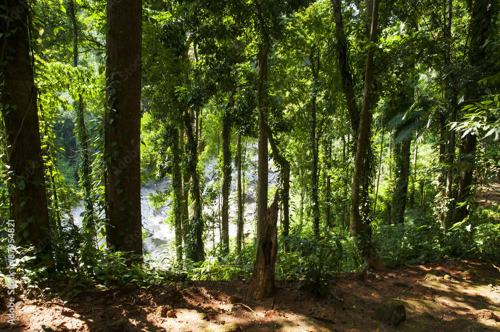 Obraz premium Karome warefall national park Thailand