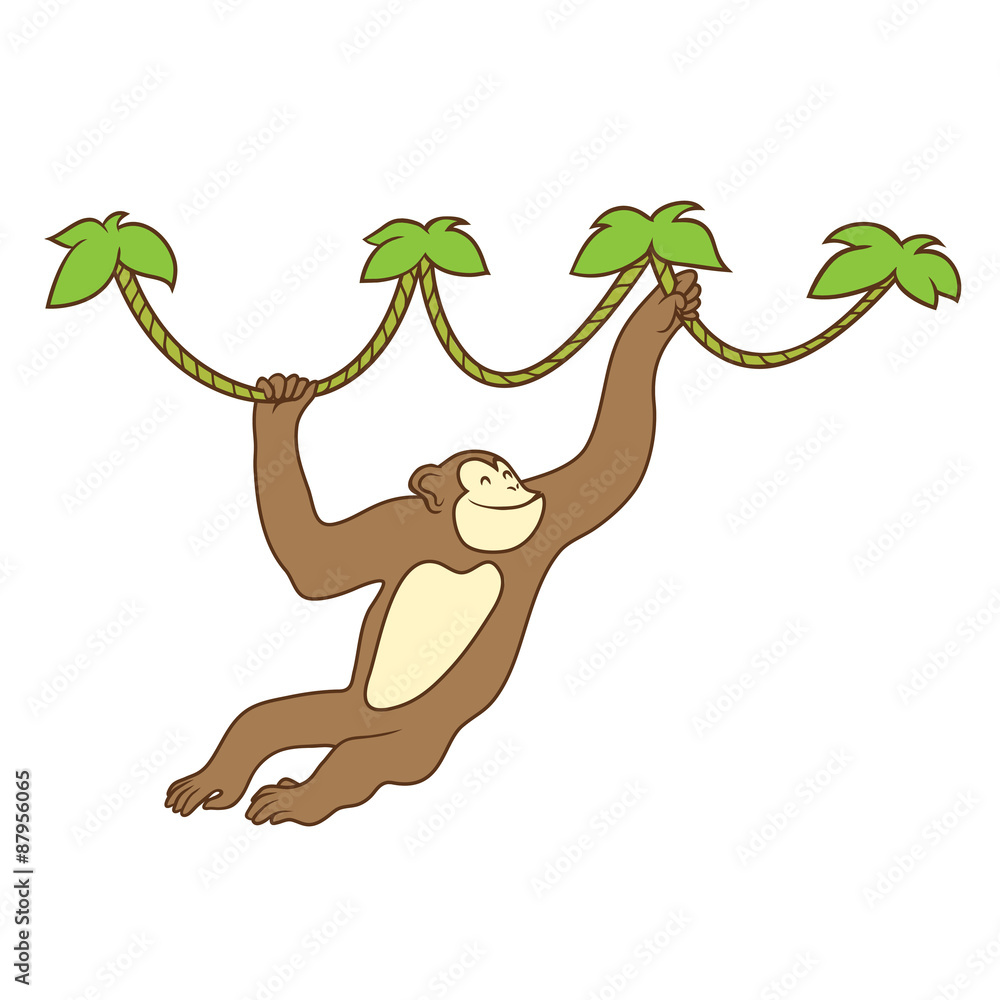 Obraz premium Monkey on liana