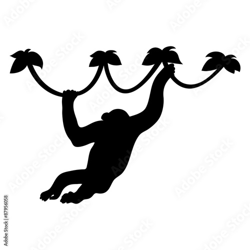 Monkey on liana