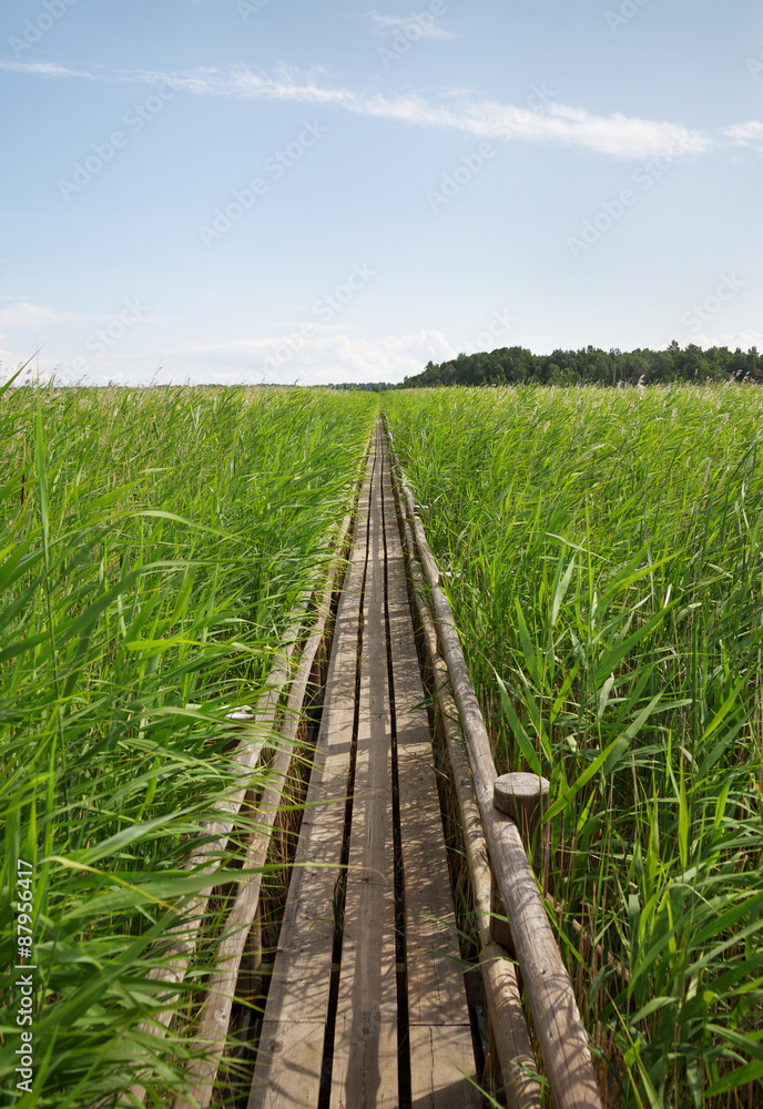 Wooden path in countryside. Wooden path in countryside.