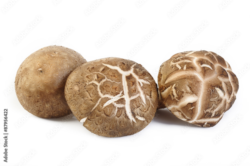 Fresh shiitake mushroom Fresh shiitake mushroom