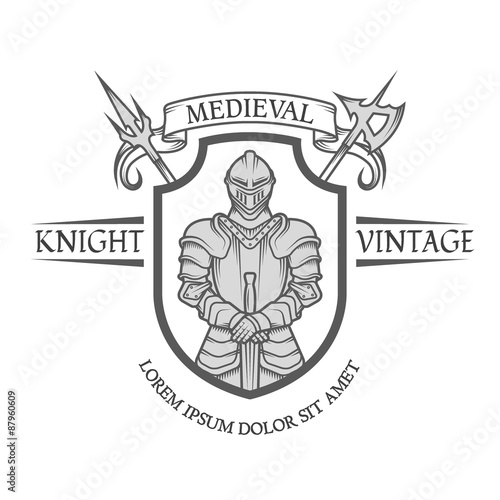 Knight warrior in armor with a sword.