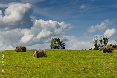 Summer field with rolls of haystacks on hilly horizon