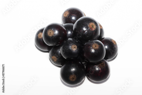 black currant isolated