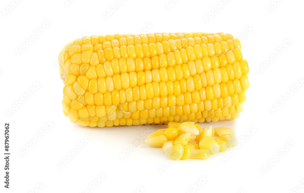 fresh of corn isolated on white background. fresh of corn isolated on white background.