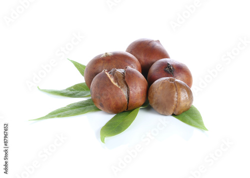 Chestnuts with chestnut leafs isolated on white
