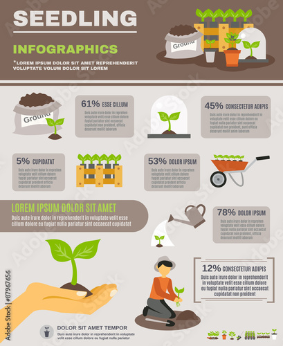 Seedling Infographics Set