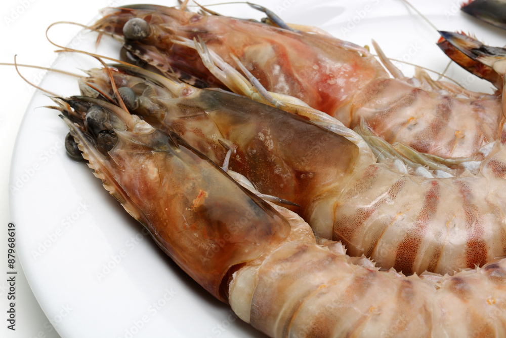 Shrimps Shrimps