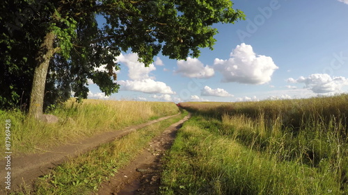 farmer with scythe and rake on rural gravel road in summer time. Timelapse 4K


