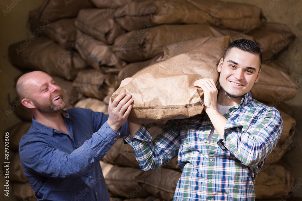 Fototapeta premium Two loaders handling sacks