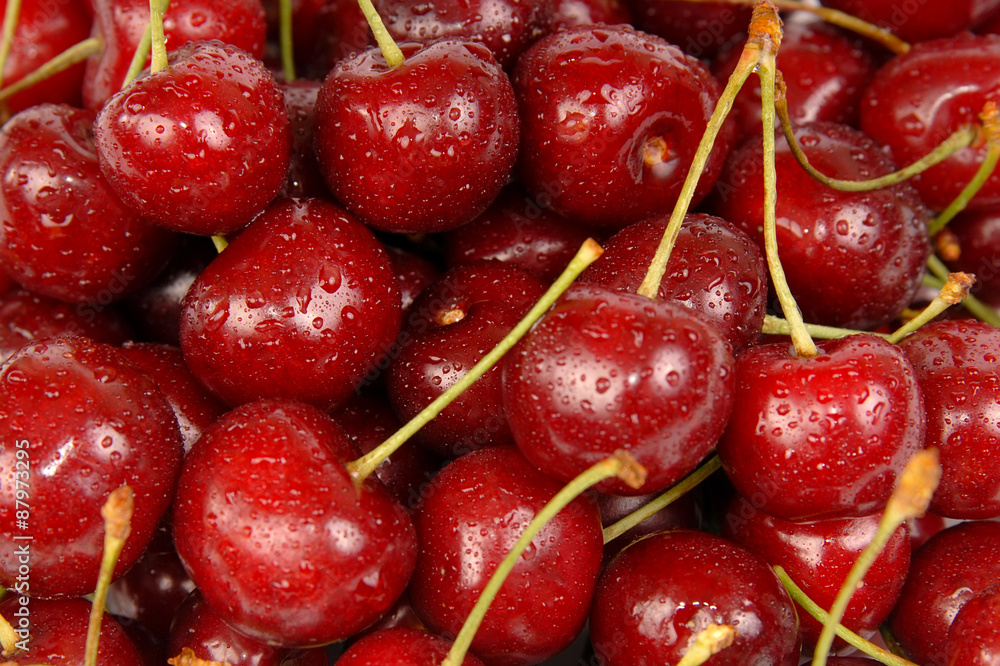 Background of ripe sweet cherry with drops and splashes water Background of ripe sweet cherry with drops and splashes water