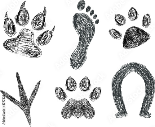 Sketch of animal footprints and paw prints.