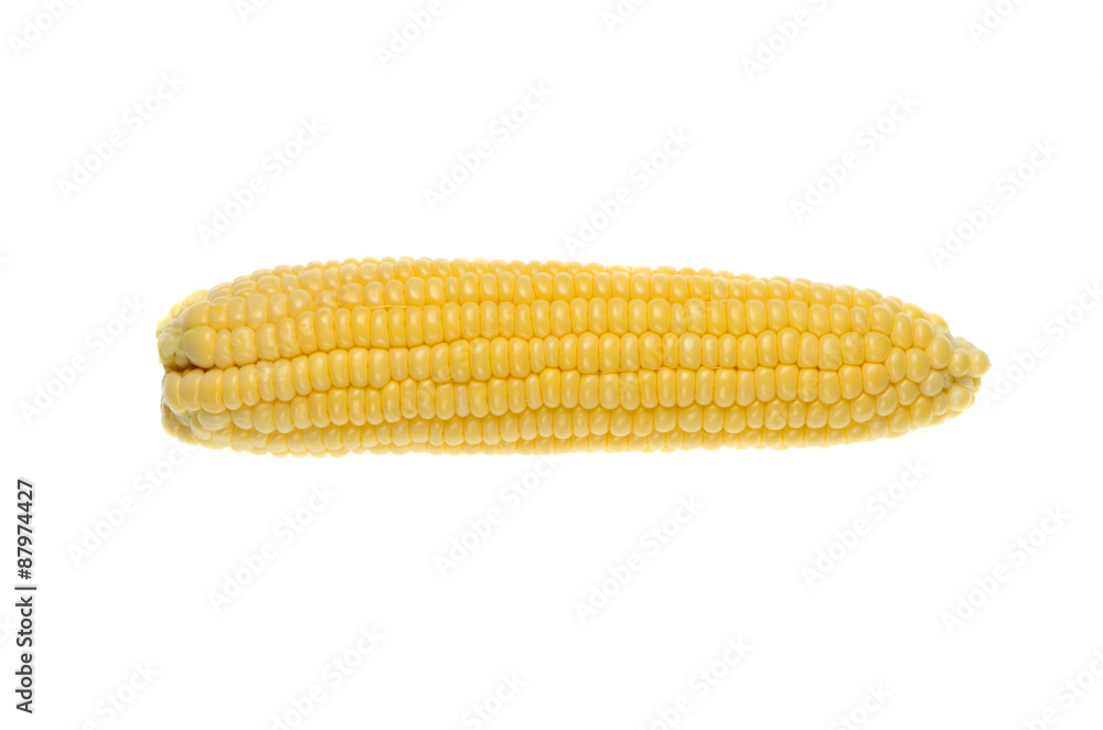 ears of Sweet corn isolated on white background ears of Sweet corn isolated on white background