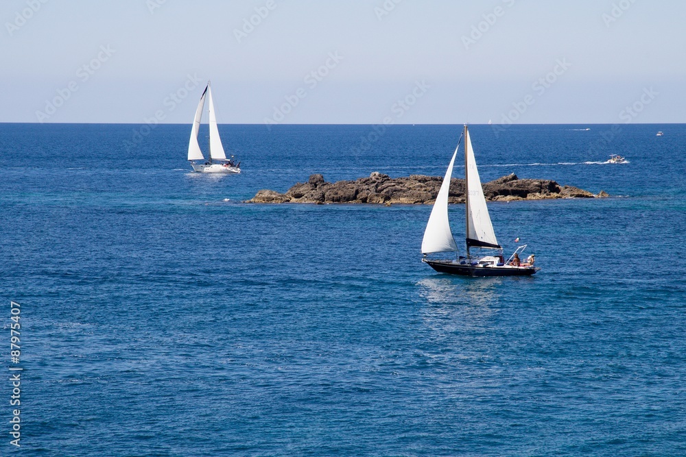 Barche a vela