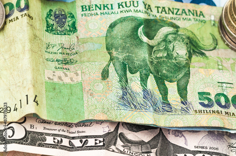 Money Bank of Tanzania Bill Coins - obrazy, fototapety, plakaty 